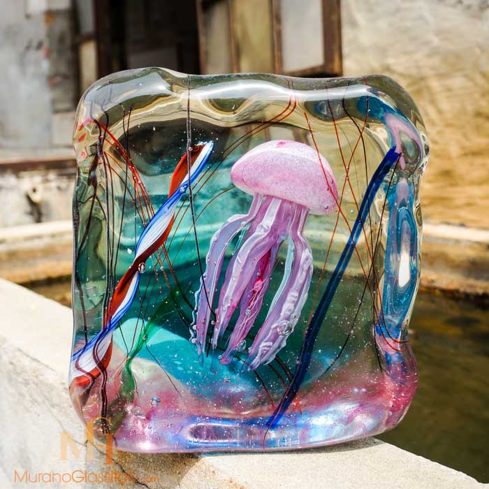 acquario con medusa rosa