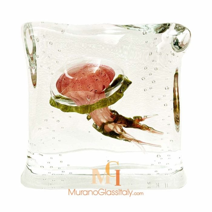 Deco Meduse Verre